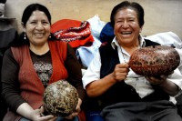 /album/g-fotos/a2-jpg1/